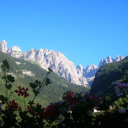 Garni Lago Alpino Molveno Exterior foto