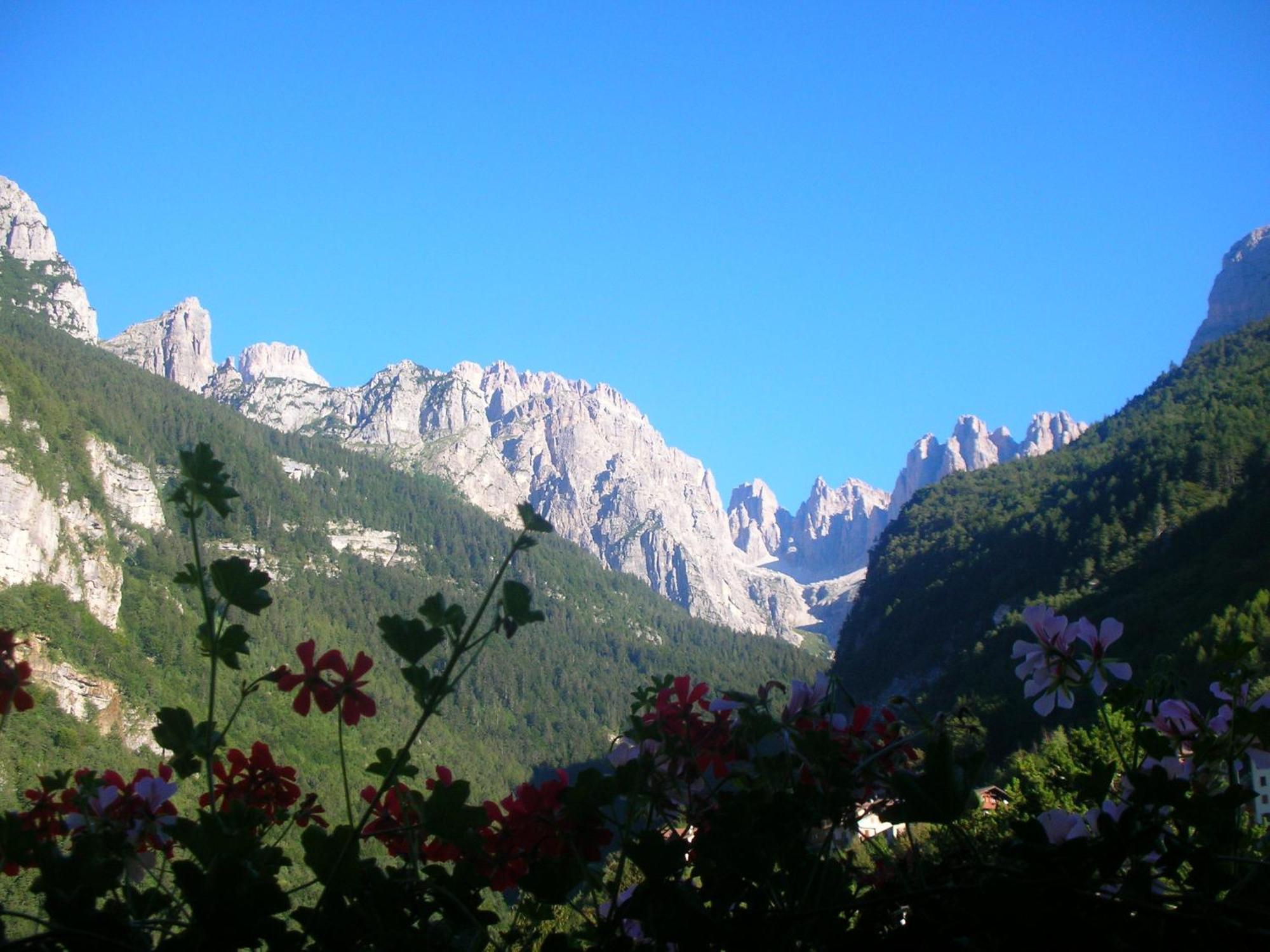 Garni Lago Alpino Molveno Exterior foto